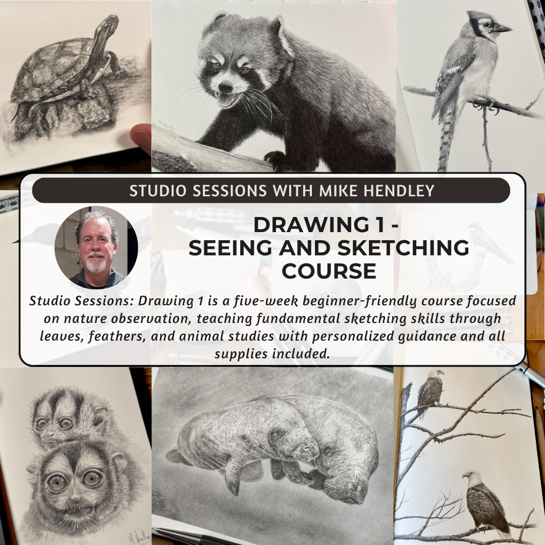 Studio Sessions: Drawing 1 - Seeing and Sketching