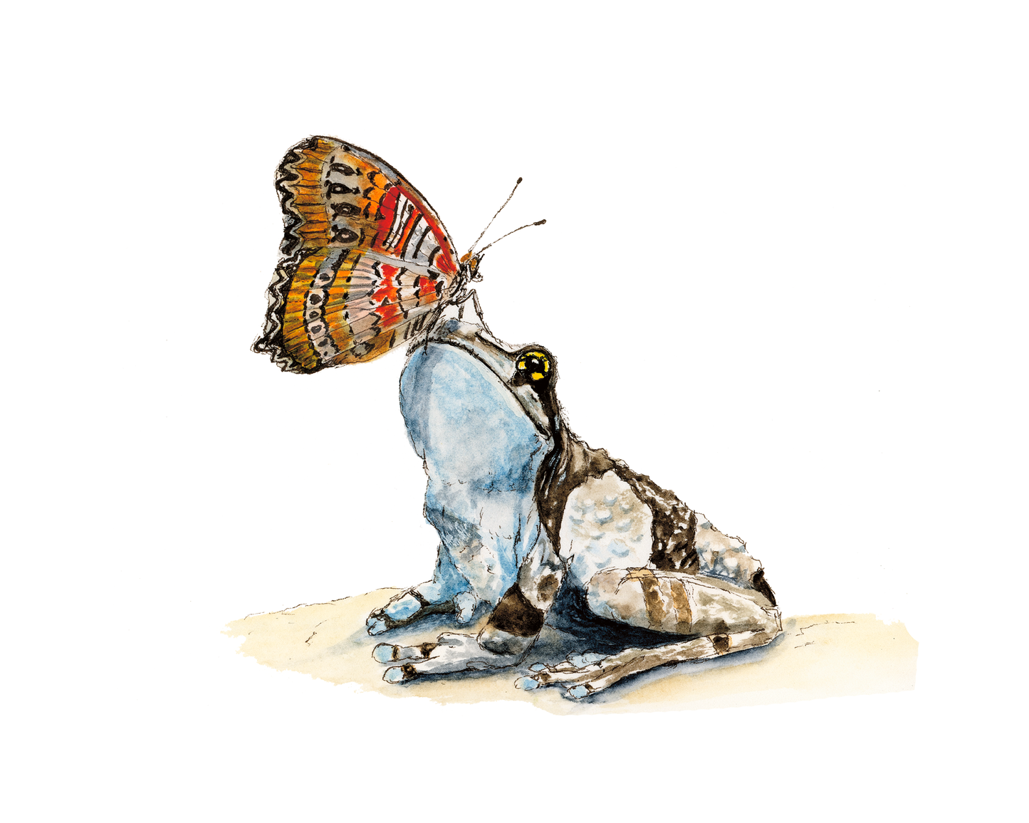 Butterfly Frog - Limited Edition Giclée print 5" by 7"