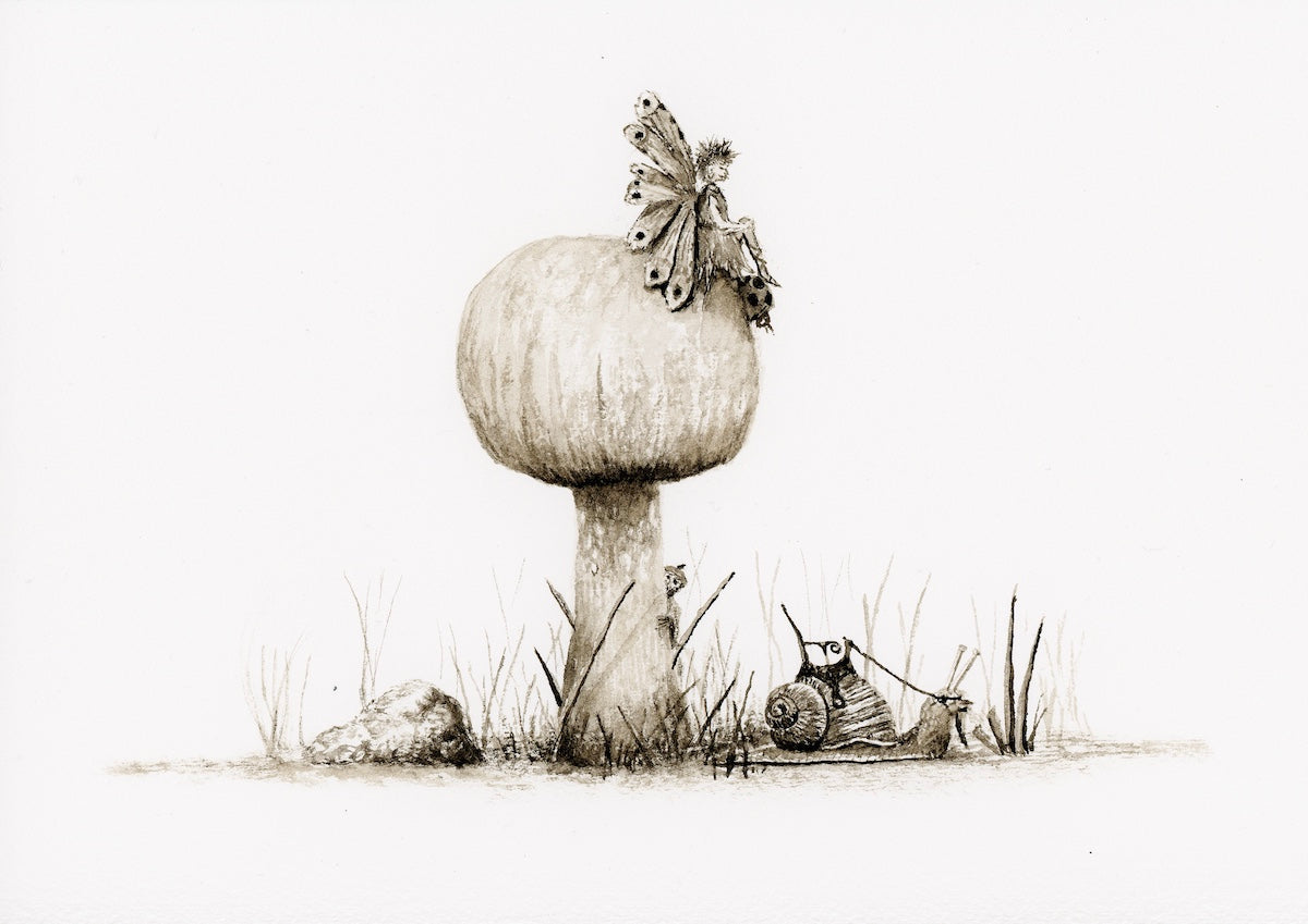 Mushroom Recursion Series