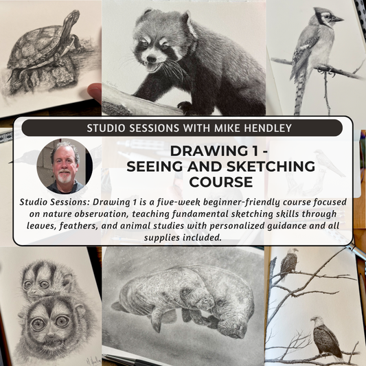 Studio Sessions: Drawing 1 - Seeing and Sketching
