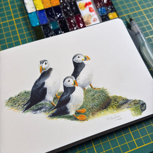 "Coastal Companions" - Puffins