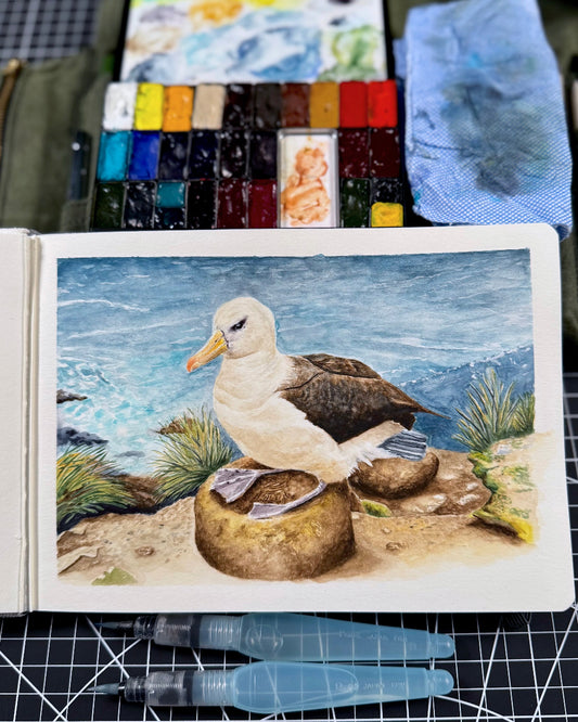 "Sailor of the Sky" - Albatross
