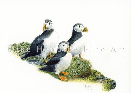 "Coastal Companions" - Puffins (Limited Edition Giclée Print)